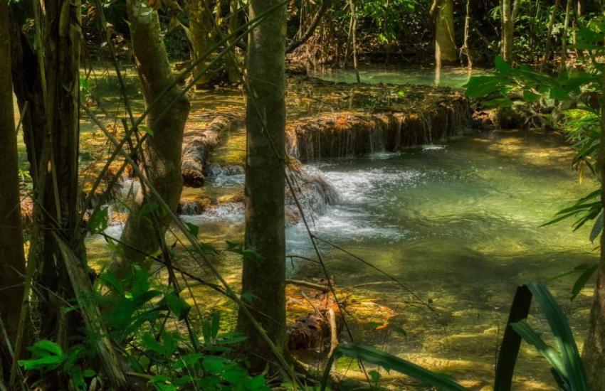Thailand Elephant Conservation Internship