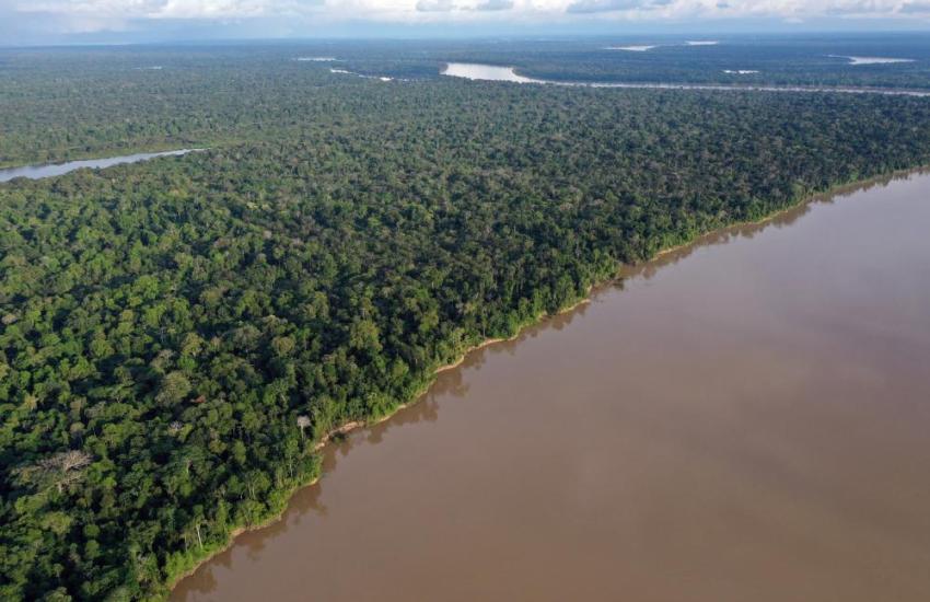 Peru Amazon Rainforest Internship