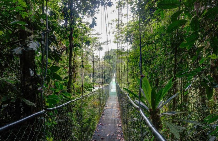 Costa Rica Rainforest Conservation Internship