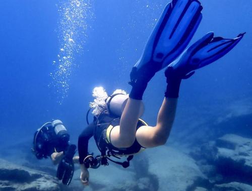 Thailand Coastal Conservation Internship